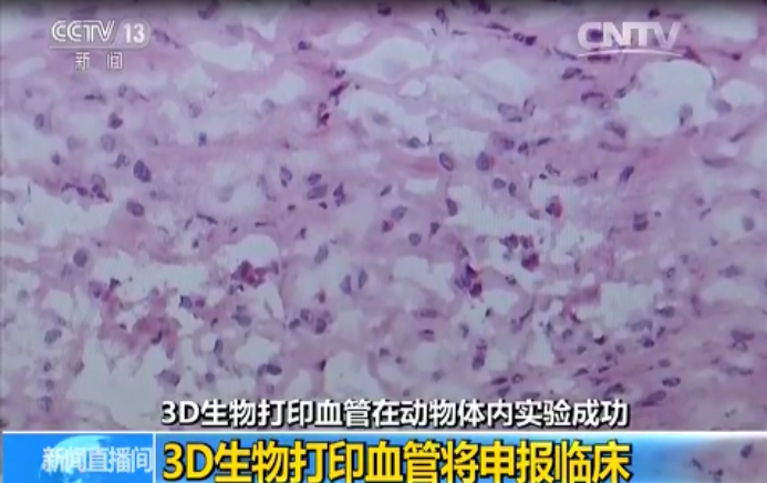 图片45.png