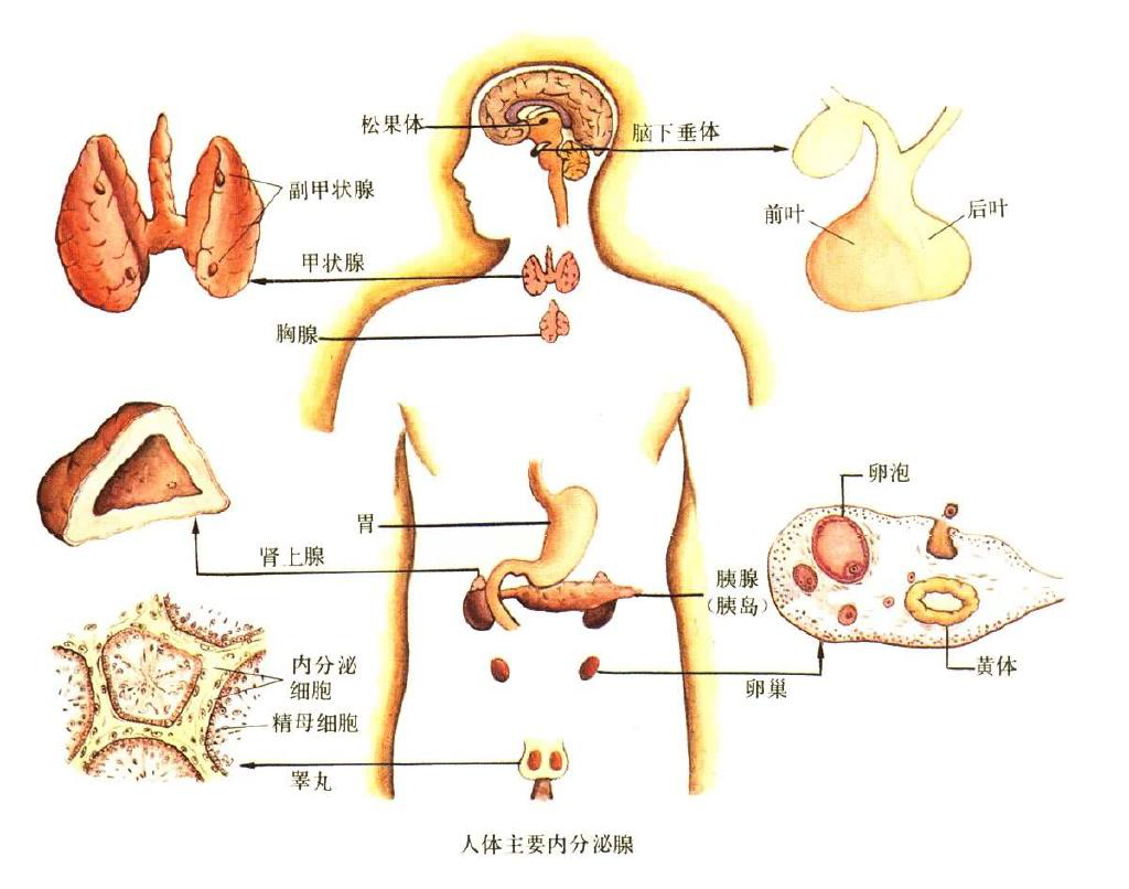 图片178.png