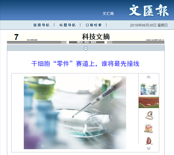 微信截图_20190701102847.png