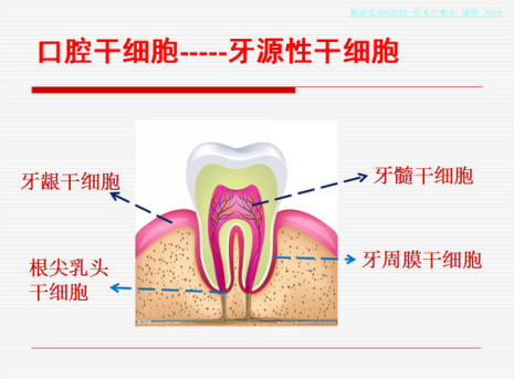 微信截图_20190722093532.png